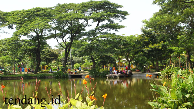 Kebun Bibit Wonorejo: Ruang Hijau Edukatif dan Wisata Alam